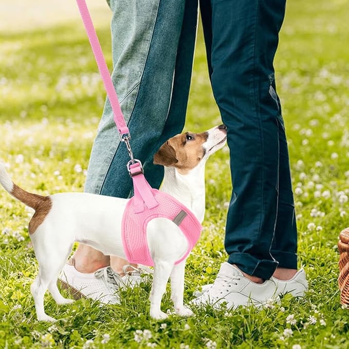 PUPTECK Adjustable Dog Harness Collar and Leash Set Step in No Pull Pet Harness for Small Medium Dogs Puppy and Cats Outdoor Walking Running, Soft Mesh Padded Reflective Vest Harnesses