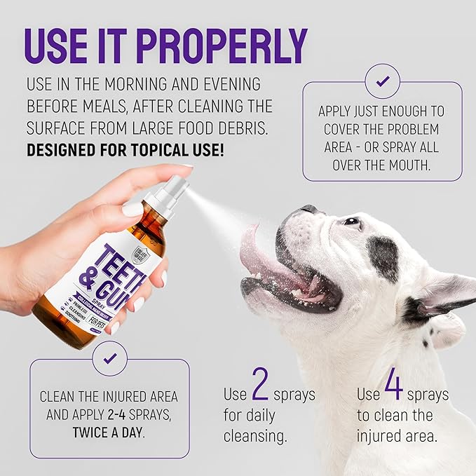 SILVER GRADE Teeth & Gum Dog Breath Spray for Pets Mouth – Cat Dental Care with Silver – Dog Breath Freshener Helps with Tartar & Caries – Plaque Remover for Daily Use – 4 Oz