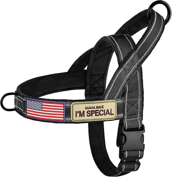 Forestpaw No Pull Dog Harness with Large Handle,Slip on Reflective Vest with Quick Release Buckle,Comfortable Flannel Lining for Medium Large Dogs Walking Training (Includes 3 Patches),Black XL