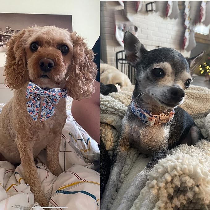 Unique style paws Dog Collar with Tie Adjustable Blue Bowtie Puppy Collars for Small Medium Large Dogs and Cats-S