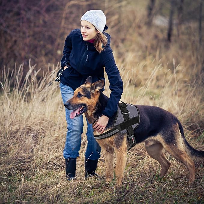 Dogline Dog Harness, Reflective No-Pull Adjustable Vest with Handle for Walking, Training, Service Breathable No - Choke Harness for Small, Medium or Large Dogs Room for Patches Grey S 18"-24"