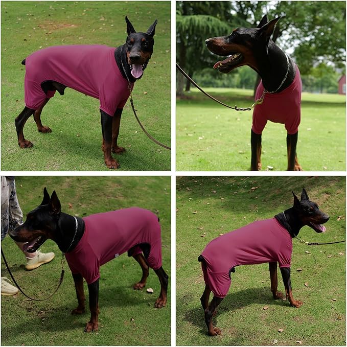 LoveLongLong Dog Jumpsuit with UV Protection and Quick-Dry Fabric for Spring Summer Pet Pajamas Taro Purple L