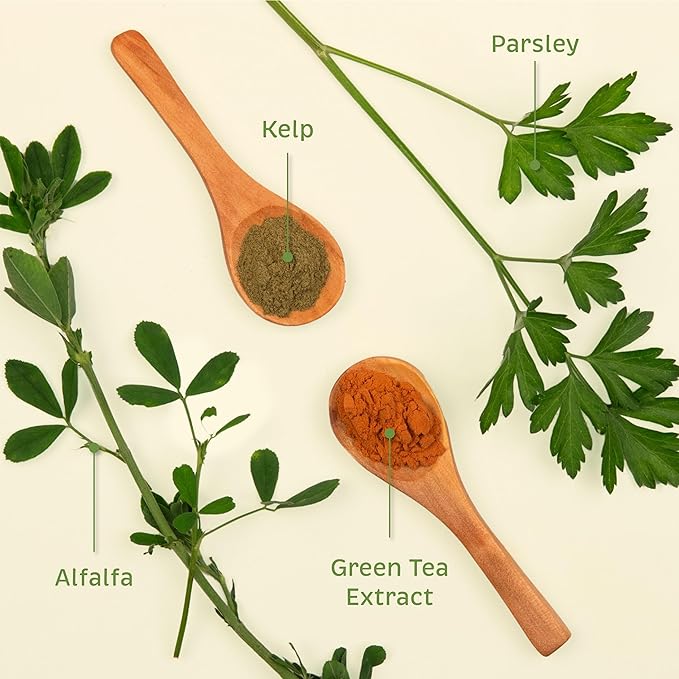 Spirited Paw Dental for Cats & Dogs - Teeth Support Powder for Dogs & Cats - Pet Health Supplements with Calcium & Fresh Breath Support - Dental Care for Plaque & Tartar - 165 g