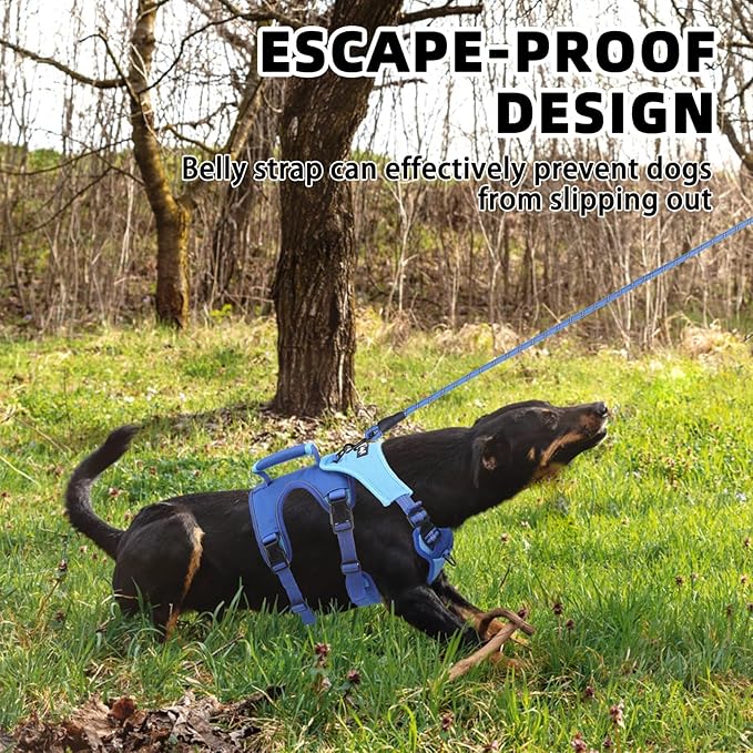 PUPTECK Escape Proof Dog Harness and Leash Set Upgraded No Pull Reflective Dog Vest with Lift Handle, Easy Control Pet Harness for Medium Large Dogs Training Walking Running, Blue, L