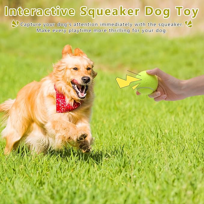 Magicorange Dog Tennis Balls, 20 Pack 2.5 inch Floatable Squeaky Tennis Balls for Fetch Exercise, Natural Rubber Squeaky Dog Balls Training Safe (Multicolor, 2.5inch)