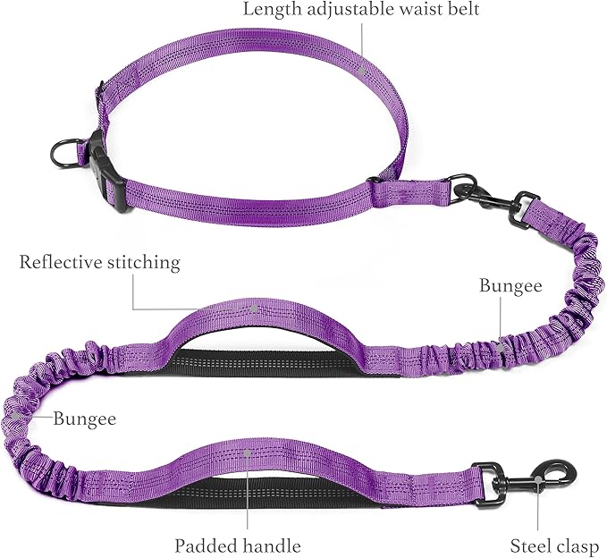 iYoShop Retractable Hands Free Dog Leash - Dual Handle Bungee Waist Leash for Small, Medium and Large Dogs (Medium/Large, 25-150 lbs, Purple)