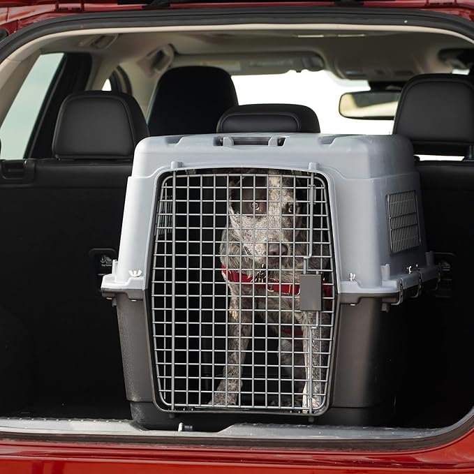 SportPet Designs Plastic Airline Approved Kennels Wire Door Travel Dog Crate, Large