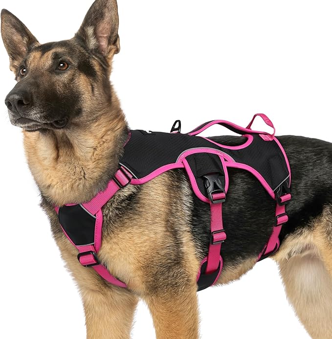rabbitgoo Escape Proof Dog Harness Large Dogs, Soft Padded Full Body Pet Harness, Reflective Adjustable No Pull Vest with Lift Handle and Leash Clip for Walking Hiking Training, Pink & Black, XL