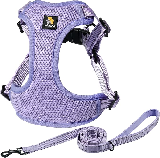 BELLA & PAL Adjustable Step-in Dog Harness, Puppy No-Pull Vest with Leash Set for XS/Small & Medium Dog, Breathable All-Weather Mesh, Reflective Strip, Secure Hook & Loop, Buckle Closure, Dual D-Rings