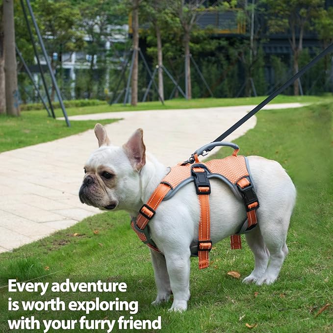 Huntboo Escape Proof Dog Harness, Escape Artist Harness, Reflective Dog Harness with Handle, Durable,Adjustable Vest for Small Medium Large Dogs Walking, Training, and Running Gear(Orange,M)