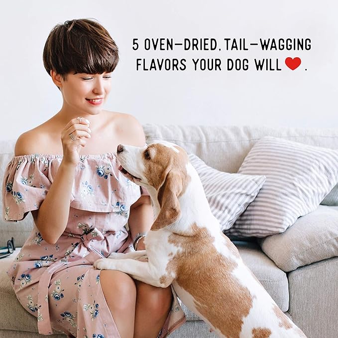 Farmland Traditions New Filler Free Dogs Love Pork Premium Jerky Treats for Dogs (40 oz.)