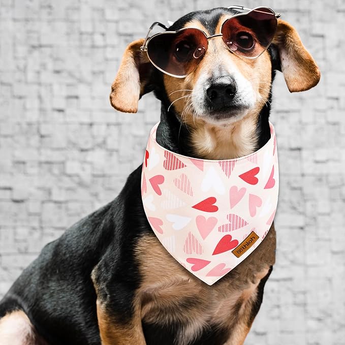 Dog Bandanas with Snap Button - 2 Pack Reversible Heart Dog Scarf for Boy & Girl, Premium Durable Fabric, Pet Bandana for Large and Extra Large Dogs (X-Large)