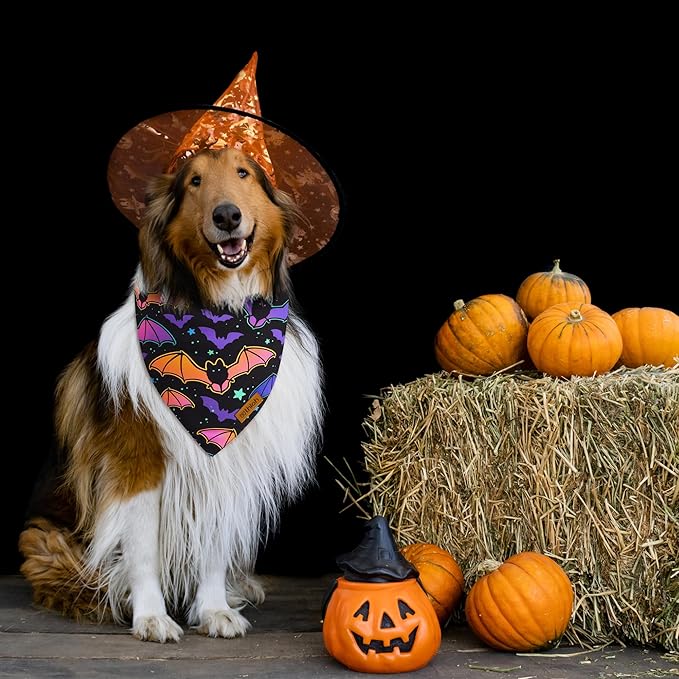 Halloween Dog Bandanas - 2 Pack Reversible Pumpkin and Bat Pet Scarf for Boys and Girls | Fall Dog Bibs | Premium Durable Fabric | Holiday Dog Bandana for Medium and Large Dogs (Large)
