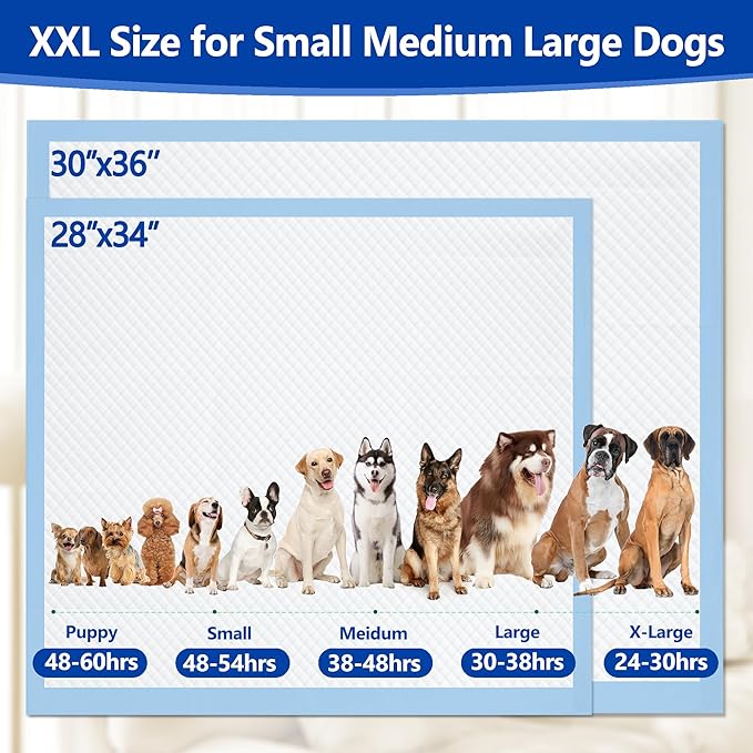 Gimars XXL 30“x36” Thicken 6 Layers Ultra Absorbency Dog Pee Pad Extra Large 3S Quick Dry Leakproof Disposable Urine Pads for Dogs, Cats, Rabbits Pets