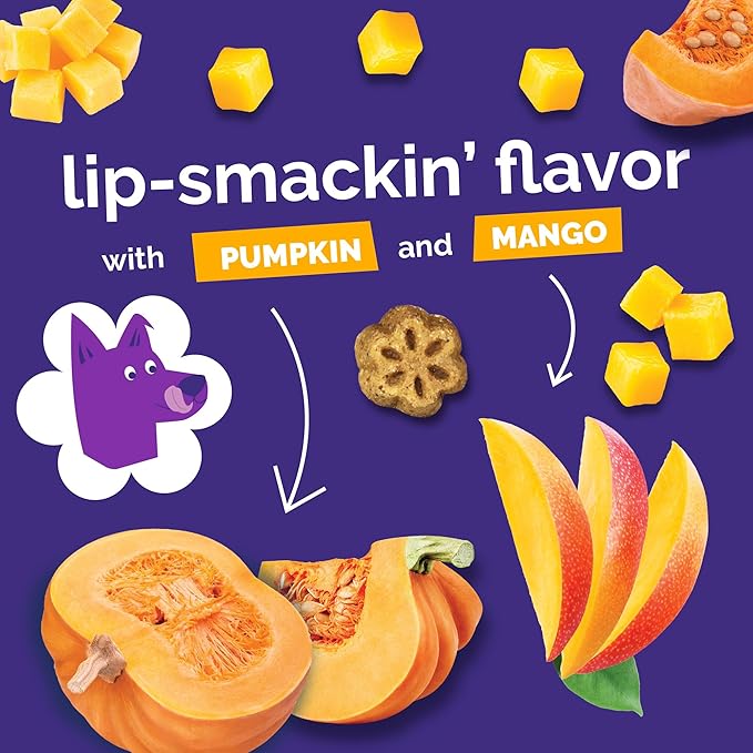 Fruitables Skinny Mini Dog Treats, Healthy Pumpkin Treat for Dogs, Low Calorie & Delicious, Puppy Training, Free of Wheat, Corn and Soy, Made in the USA, Pumpkin and Mango Flavor, 5oz