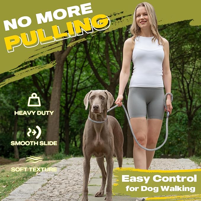 Fida Durable Slip Lead, 6 FT x 1/2" Heavy Duty Dog Loop, Comfortable Strong Rope Leash for Large, Medium Dogs, No Pull Pet Training Leash with Highly Reflective, Grey