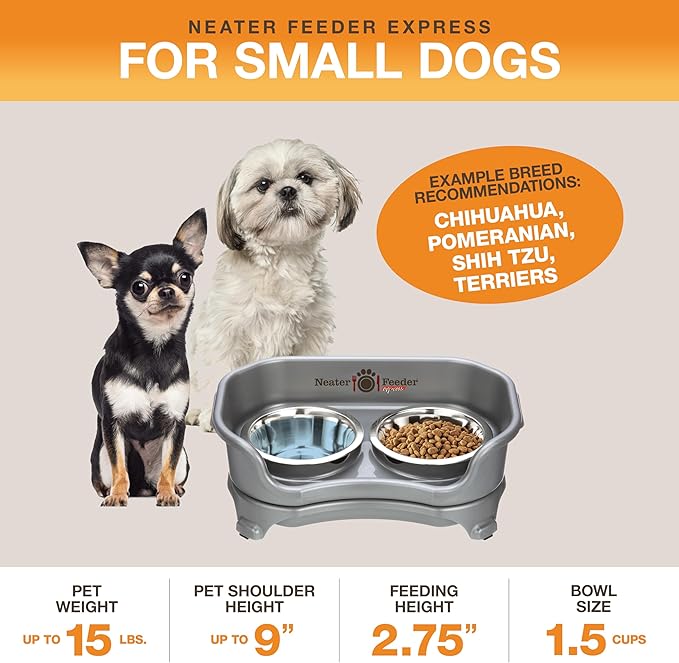Neater Feeder Express Mess Proof Dog Bowls Elevated for Small Breeds Under 15 Lb, Made in USA, No Spill Raised Dog Food Bowl Stand, Stainless Steel Food and Water Bowl Set, Feeding Station, Grey
