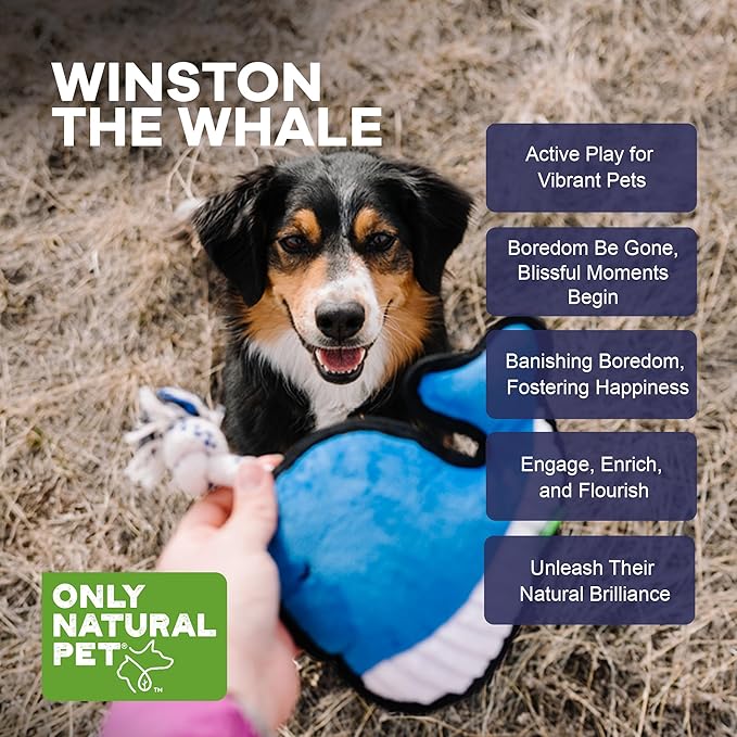 Only Natural Pet Sea Creatures Recycled Plush Dog Toys - Durable Double-Stitched Design with Internal Squeaker, Rope Tug Blow Hole & Ribbed Belly - Squeaky Pet Toy | Winston The Whale, 8.5" x 7.5"