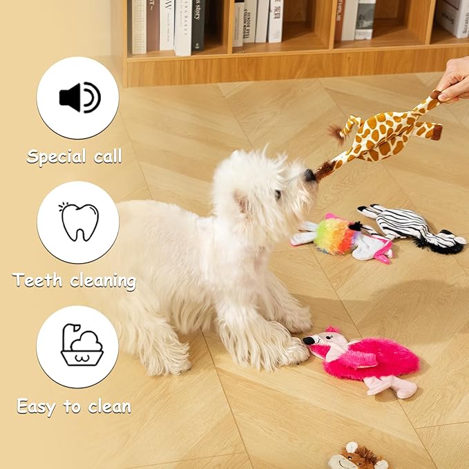 Hollypet Soft Squeaky Dog Toys, Plush No - Mess Chew Toys for Small and Medium Dogs and Non-Aggressive Chews, Puppy Teeth Cleaning Chew Toys, 5 Animal
