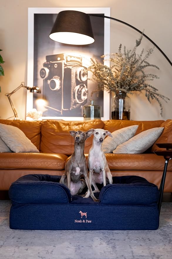 NOAH & PAW Large Dog Bed, 35x25x11 Inch, Orthopedic Dog Beds, Eggshell Memory Foam Infused with Cooling Gel, Inner Cover, Waterproof, Machine Washable (Denim Sofa Collection)