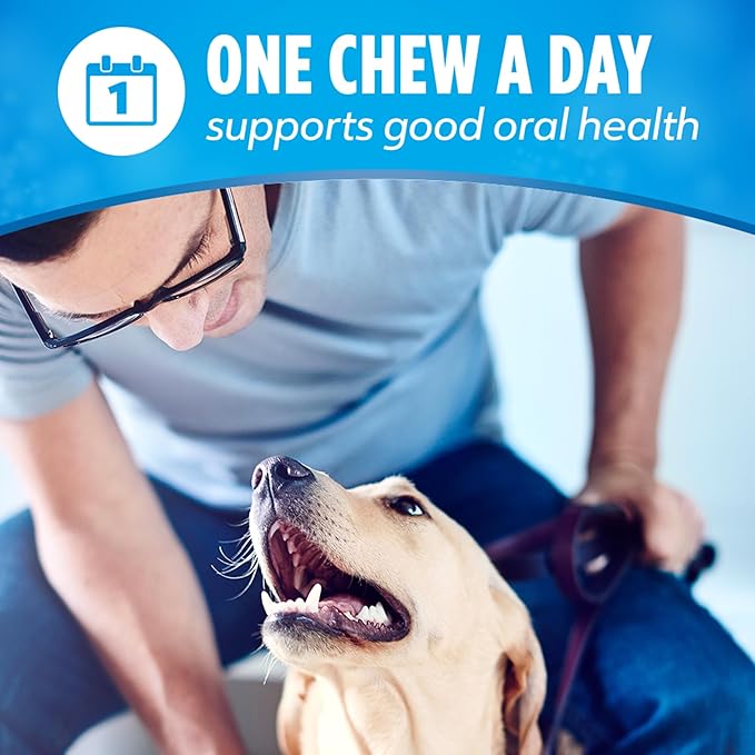 DentaLife Daily Oral Care Dog Treats for Small and Medium Dogs, Chewy Dental Treat to Freshen Breath and Fight Tartar, Chicken Flavor, 28.5 oz., 40 Chews - 40 ct. Pouch