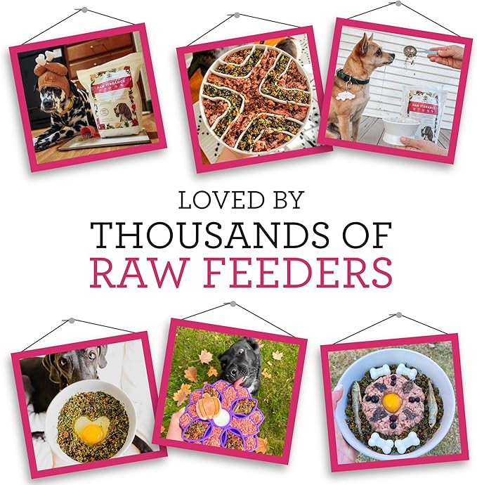 Dr. Harvey's Raw Vibrance Grain Free Dehydrated Foundation for Raw Diet Dog Food (6 Pounds)