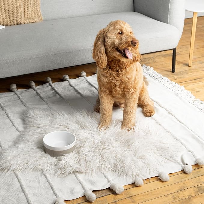 Waggo Dipper Ceramic Dog Bowls - Set of 2 - for Small and Large Breeds - Heavyweight and Durable Pet Food and Water Dish Crock, Dishwasher Safe, Modern (Set of 2, Vintage Grey, Large)