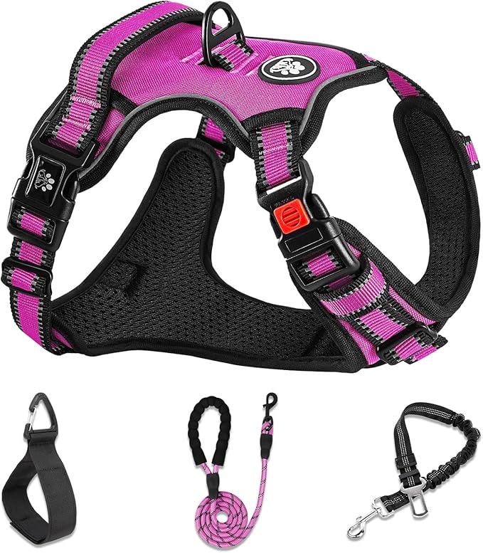 NESTROAD No Pull Dog Harness,Adjustable Oxford Dog Vest Harness with Leash,Reflective No-Choke Pet Harness with Easy Control Soft Handle for Small Medium Dogs(Medium,Fuchsia Pink)