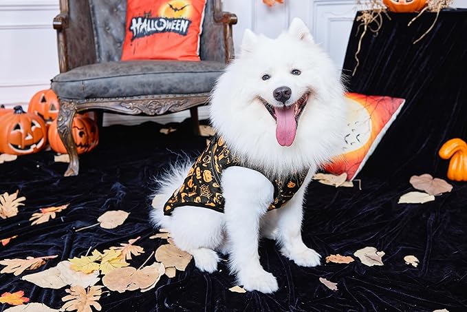 Aiboria Winter Dog Coat Windproof Fleece Jacket with Chest Strap Dog Vest Harness Halloween Black XL