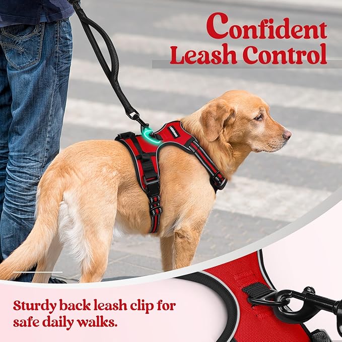 rabbitgoo Dog Harness, No-Pull Pet Harness with 2 Leash Clips, Adjustable Soft Padded Dog Vest, Reflective No-Choke Pet Oxford Vest with Easy Control Handle for Large Dogs, Red, L