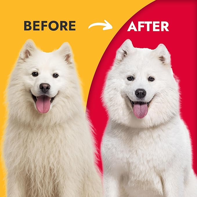 KONG 4-in-1 Interchangeable Dog Grooming Tool – Rake, Slicker, Comb & Pin Brush Heads, Versatile All-in-One Design, Non-Slip Handle, for All Coat Types, Red/Gray