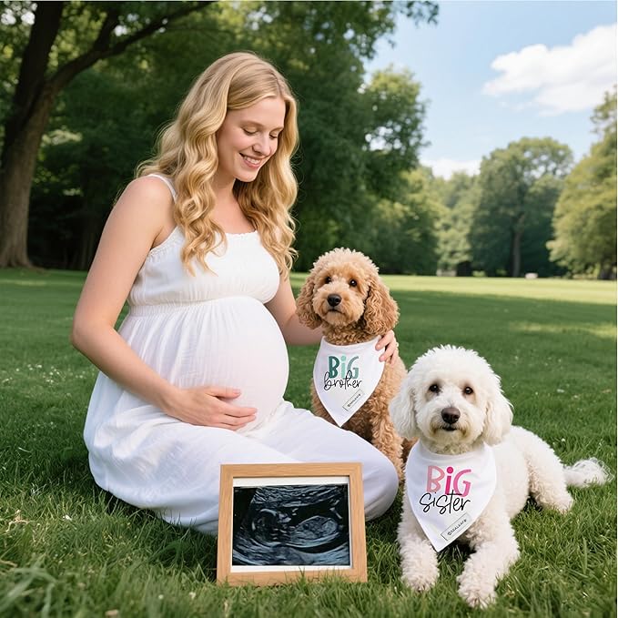 Realeaf Big Brother Big Sister Dog Bandanas Pet Scarf for Medium and Large Dogs New Baby Announcement Pet Accessories Pregnancy Reveal Ideas (Small)