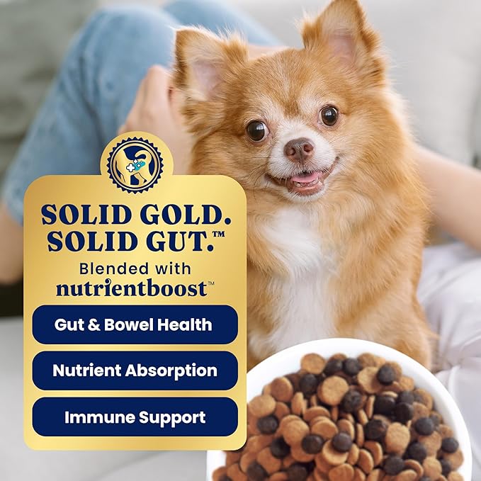Solid Gold Toy & Small Breed Dog Food Dry Small Bites – Real Bison & Healthy Whole Grain Dogfood – Potato Free, High Fiber Healthy Dog Kibble w/Probiotics for Gut Health – NutrientBoost™ – 11 lb