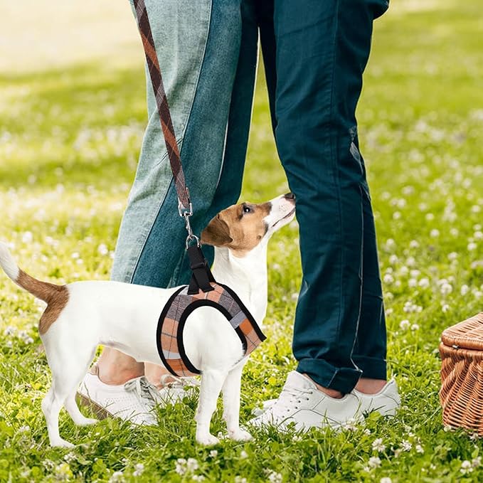 PUPTECK Adjustable Dog Harness Collar and Leash Set Step in No Pull Pet Harness for Small Medium Dogs Puppy and Cats Outdoor Walking Running, Soft Mesh Padded Reflective Vest Harnesses, Orange M