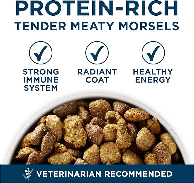 Purina ONE Natural Large Breed Adult Dry Dog Food, +Plus Formula - 16.5 lb. Bag