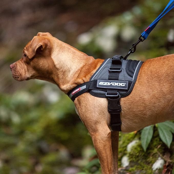 EzyDog Convert Dog Harness – Trail-Ready Rugged Harness for Walking, Hiking & Outdoors with Reflective Piping, Badge Attachment Points, Traffic Handle, & Comfort Lining (Large, Burgundy)