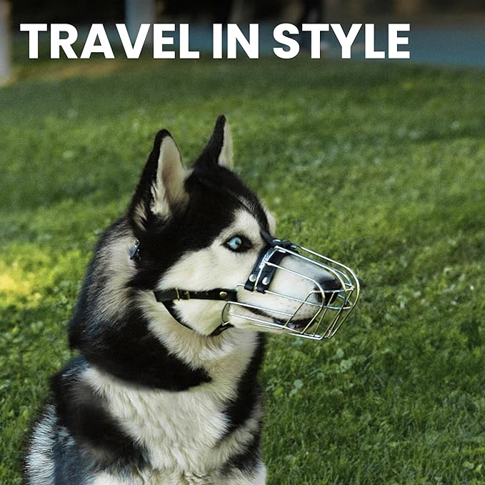 BRONZEDOG Dog Muzzle Adjustable Durable Metal Wire Basket for Large and Extra Large Dogs with Leather Straps Breathable, Drinkable, Training, Prevents Biting (Stainless Steel, Husky & Doberman)