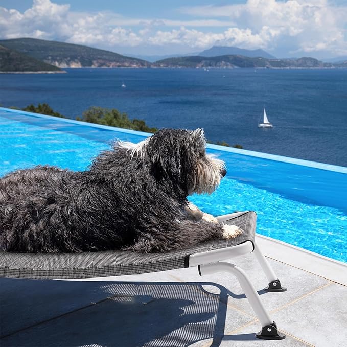 Veehoo Elevated Dog Bed for Outdoor, Cooling Waterproof Raised Dog Cots Beds for Medium Dogs, Curved Off Ground Pet Hammock Cot Lifted for Outside, up to 65lbs, White Legs, Black Silver 32"