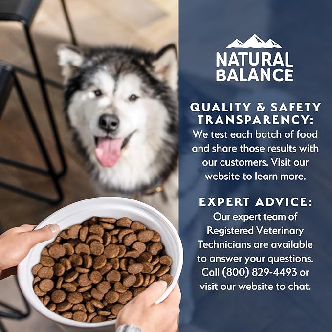 Natural Balance Health Protection Dry Dog Food – Whole Body Health, Easy on Digestion Dog Food Made with Chicken, Brown Rice & Pumpkin for Dogs - 24lbs.