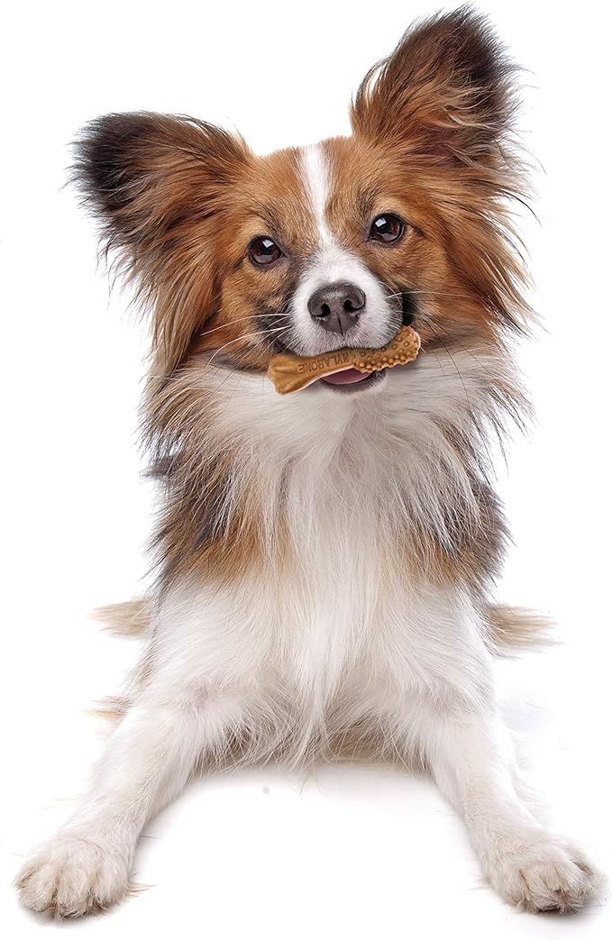 Nylabone Nutri Dent Dog Dental Chews - Natural Dog Teeth Cleaning & Breath Freshener - Dental Treats for Dogs - Filet Mignon Flavor, Mini (32 Count) (Pack of 2)