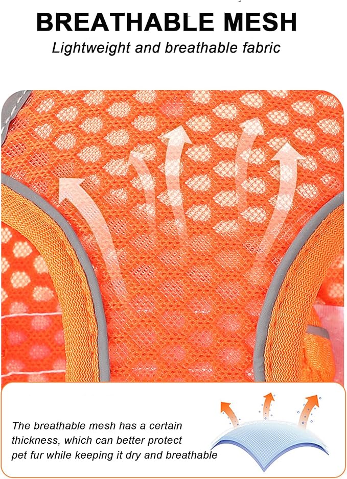 XXXS Orange Soft Mesh Dog Harness and Leash Set,No Escape Puppy Harnesses for Training Walking， Reflective Adjustable Puppy Vest for Small Medium Dogs, Cats (Orange, XXXS)