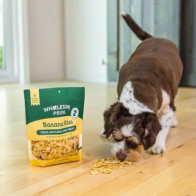 Wholesome Pride Banana Bites Dog Treats, 2 Ingredients – Bananas & Coconut Oil, Grain-Free, 8 oz