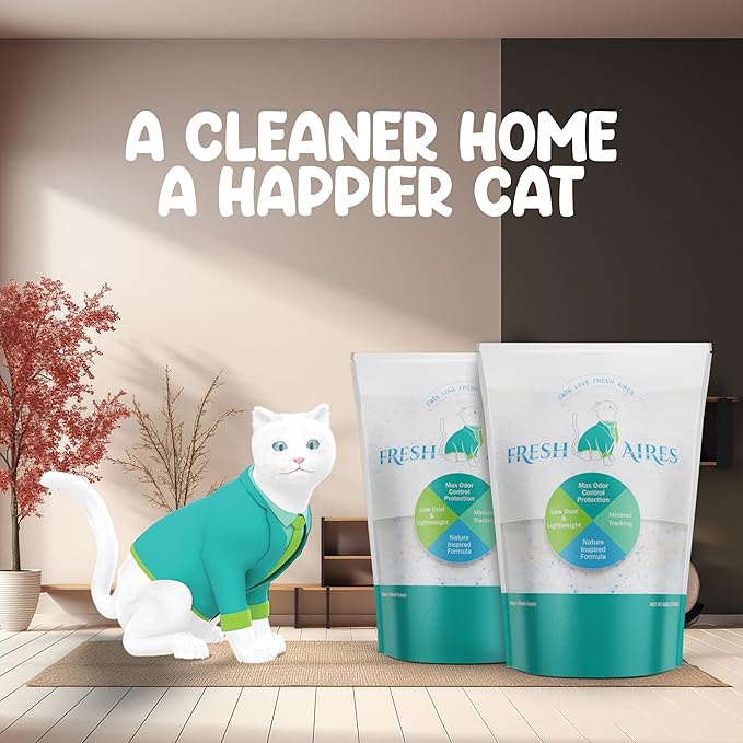 Silica Crystal Cat Litter, 6 lb | Unscented, Lightweight, Non Clumping Cat Litter | Low Dust & Tracking, Long-Lasting Odor Control Crystal Kitty Litter for Cats and Kittens (Pack of 2)