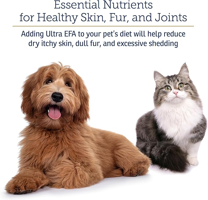 Rx Vitamins Ultra EFA Omega 3 Fish Oil for Dogs & Cats - Promotes Heart, Brain, and Joint Health with Vitamin E, Biotin, and Zinc - Liquid Fish Oil for Itch Relief & Dog Shedding - 16 oz