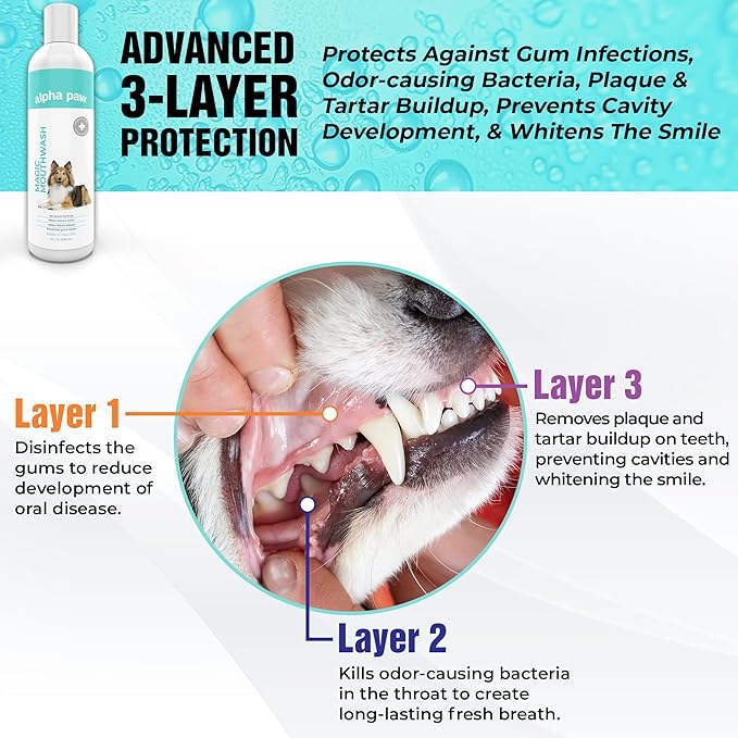 Alpha Paw Magic Mouthwash for Dogs, Natural Water Additive, Canine Breath Freshener, Dog Essentials for Plaque and Tartar Treatment, Made in The USA (8 oz)