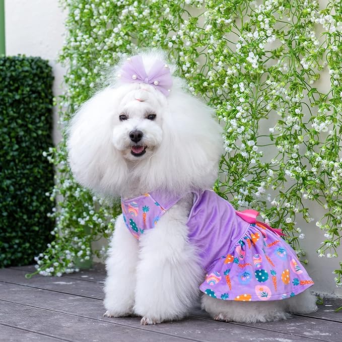 CuteBone White Rabbit Dog Easter Dress Velvet for Small Dogs Girl Eggs Skirt Puppy Purple Dresses Dog Clothes CVA19L-D