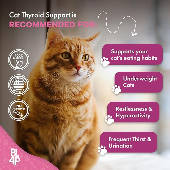 Cat Hyperthyroid & Gentle Weight Gain Support for Cats and Kittens - Natural Feline Thyroid Balance for All Ages in Odorless Easy to Use Tiny Pills That Improve Appetite, Coat & Energy (400 Pills)