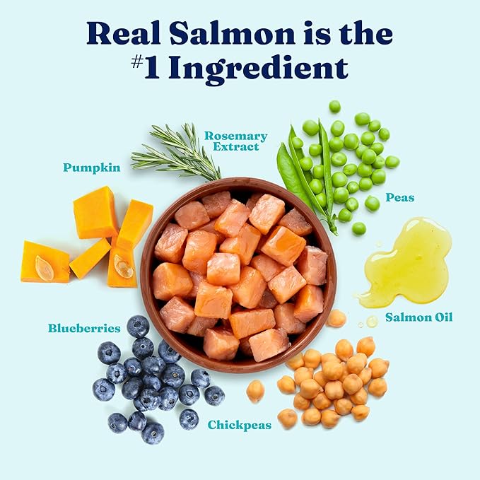 Solid Gold Salmon Dog Food for Sensitive Stomachs – Grain Free & Gluten Free Kibble w/Probiotics to Support Gut Health & Digestion - Sensitive Stomach Dog Food for All Ages – Nutrientboost™ – 22 LB