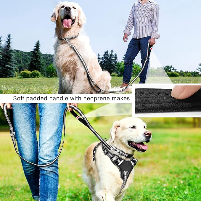 WINSEE Pet Harness Collar and Leash Set, All-in-one Reflective Dog Harness No Pull with Adjustable Buckles for Puppies, Small, Medium, Large, and Extra-Large Dogs (X-Large, Black)