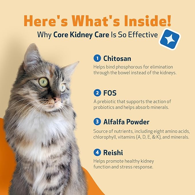 Pet Wellbeing Core Kidney Care for Cats - Daily Phosphate Binder, Supports Healthy Kidney Function with FOS, Chitosan, Probiotics - Veterinarian-Formulated 5.08 oz (144 g) Powder